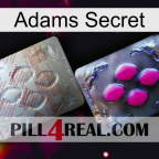Adams Secret 38